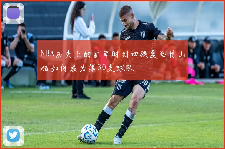 NBA历史上的扩军时刻回顾夏洛特山猫如何成为第30支球队
